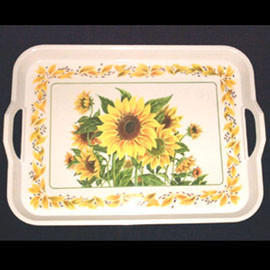Melamine Tray (Меламин лоток)
