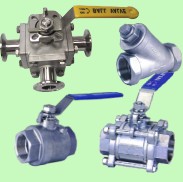 S.S. Ball Valve, Gate Valve, Check Valves (S. S. Kugelhahn, Schieber, Rückschlagklappen)