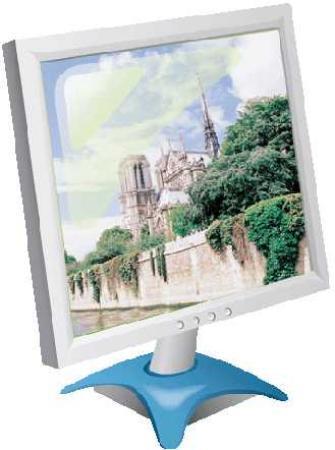 PET Film For Notebook / LCD screens (PET Film For Notebook / LCD screens)