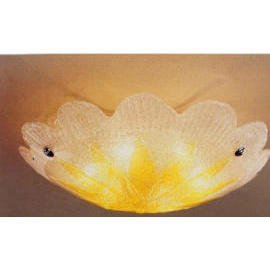 Pendant Light, Wall Bracket, Floor Lamp, Lighting Fixture (Pendant Light, support mural, lampadaire, d`appareils d`éclairage)