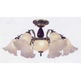 Lighting Fixture,Chandelier,Ceiling Light,Pendant Light,Wall Brack,Table Lamp,Fl (D`appareils d`éclairage, Lustre, Plafonnier, Pendentif Light, Wall Brack, Lampe)