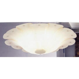 Ceiling Light,Pendant Light,Wall Bracket, Floor Lamp, Lighting Fixture (Верхний свет, Подвеска Свет, настенный кронштейн, торшер, светильники Освещение)