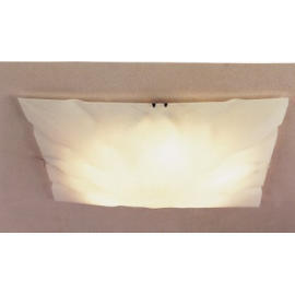 Ceiling Light,Pendant Light,Wall Bracket, Floor Lamp, Lighting Fixture (Deckenleuchter, Pendelleuchte, Wandhalterung, Stehleuchte, Beleuchtung Möbel)