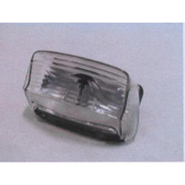 TAIL LIGHT