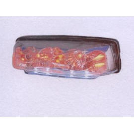 TAIL LIGHT