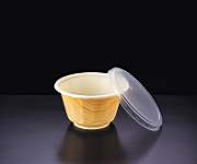 Soup & Bowl Packaging Container