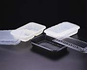 Disposable Food Packaging Container