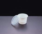 Disposable Food Packaging Container (Einweg-Food Packaging Container)