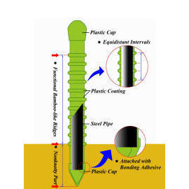 Bamboo of Horiculture (Bambou de Horiculture)