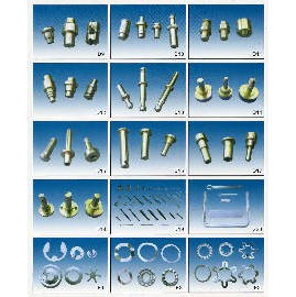 SCREW (SCREW)