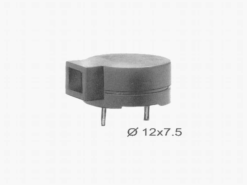 MAGNETIC TRANSDUCER (MAGNETIC TRANSDUCER)
