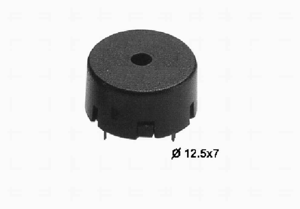 PIEZOELECTRONIC BUZZER (PIEZOELECTRONIC BUZZER)