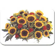 P.P PLACE MAT (P.p SET DE TABLE)