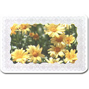 P.P PLACE MAT (P.P PLACE MAT)