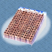 Mini Classic Stamp