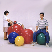 AB2853 Gym Ball (AB2853 Гимнастический мяч)