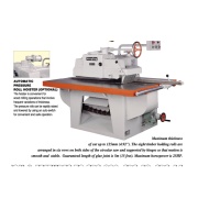 Straight Line Rip Saw series (Straight Line Rip Saw series)