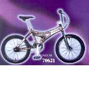 Mountain Bicycle (70621)