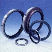 Oil Seals (Oil Seals)