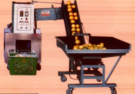 Citrus Automatic Packaging Sealer (Sellador Automatico del Empaque para Agrios) (Цитрусовые автоматической упаковки Sealer (Sellador Automatico деле Empaque пункт Agrios))