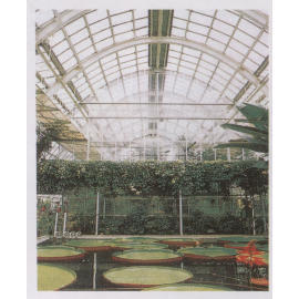 Polycarbonate Sheet (Поликарбонатных листов)