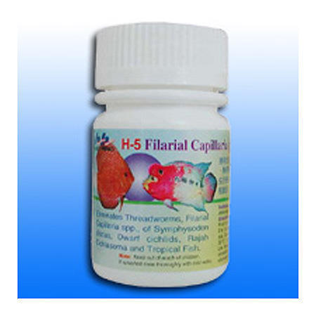 Filarial Capillaria spp. Care (Филяриатозных СарШапа SPP. Заботиться)