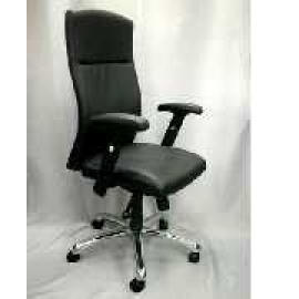 Leather chair,office furniture,seating (Leather chair,office furniture,seating)