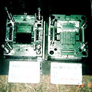 Mold (Mold)