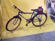 Motorized battery bike