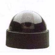 COLOR CCD DOME CAMERA (D41N) (COLOR CCD Dome Camera (D41N))