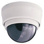 Pan/Tilt Dome Camera W/fixed lens & Controller (Pan/Tilt Dome Camera W/fixed lens & Controller)