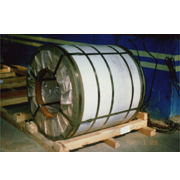 Stainless Steel Sheet in Coil (Stainless Steel Sheet in Coil)