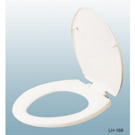 Bathroom accessories - toilet seat (Bad-Accessoires - WC-Sitz)