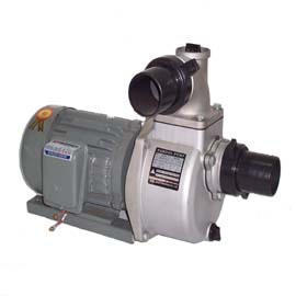 Motor-Pumpen - (Motor-Pumpen -)