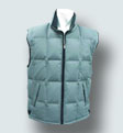 vest (gilet)