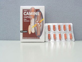 Camine (Crystalline glucosamine silfate Cap 250 mg) (Camine (кристаллические глюкозамина silfate Cap 250 мг))