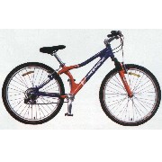 Mountain bike (Mountain bike)