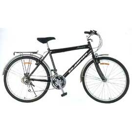 City Bike (City Bike)