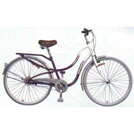 City bike Lady (City bike Lady)