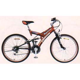 Suspension MTB bicycle (Suspension MTB bicycle)