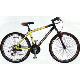 Mountain bike (Mountain bike)