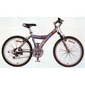 Mountain bike (Mountain bike)