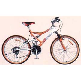 Suspension MTB bicycle (Suspension MTB bicycle)