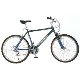 Mountain bike (Mountain bike)