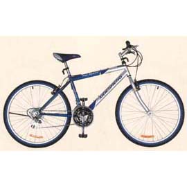 Mountain bike (Mountain bike)