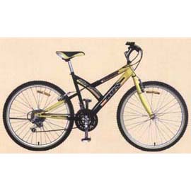 Mountain bike (Mountain bike)