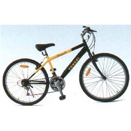 Mountain bike (Mountain bike)