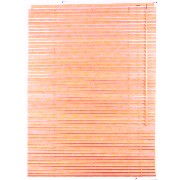 Wood, Bamboo Blind (Wood, aveugle du bambou)