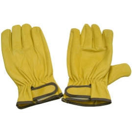 gloves (Gants)