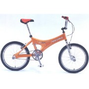 Mountain Bicycle (Mountain Bicycle)